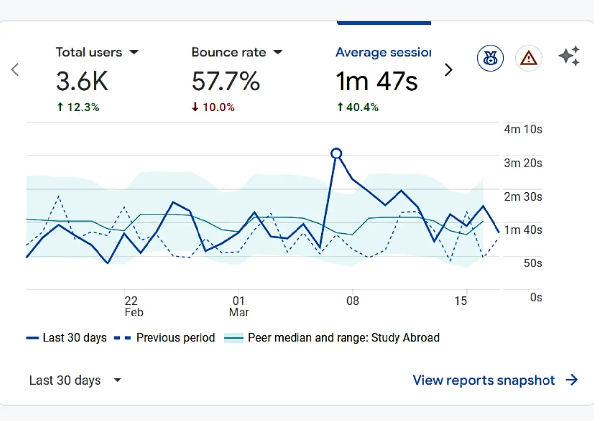 Google Analytics Performance